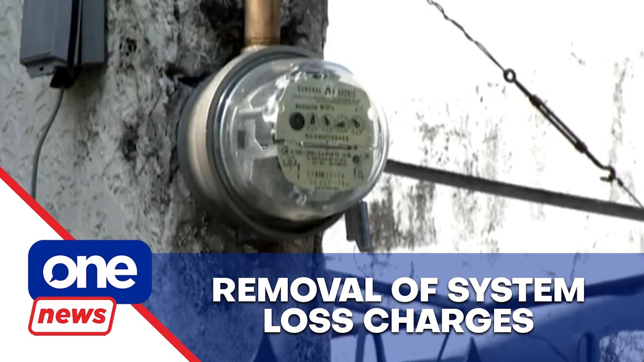 Removing system loss charge may trigger power outages, expert warns | One News Now