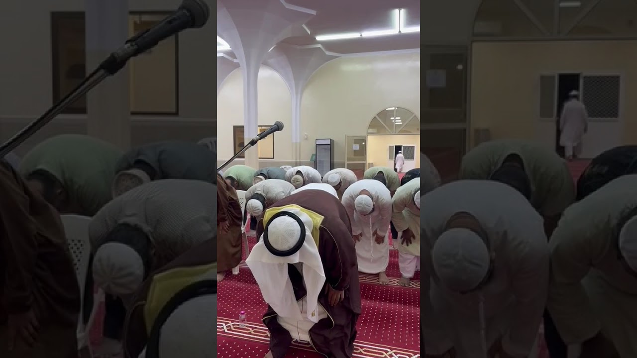 صلاة الوتر في رمضان 2026