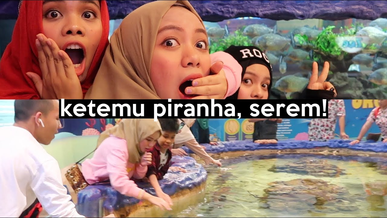 Seru-seruan Bareng Piranha & Hiu di Trans Studio | SOHWAcam