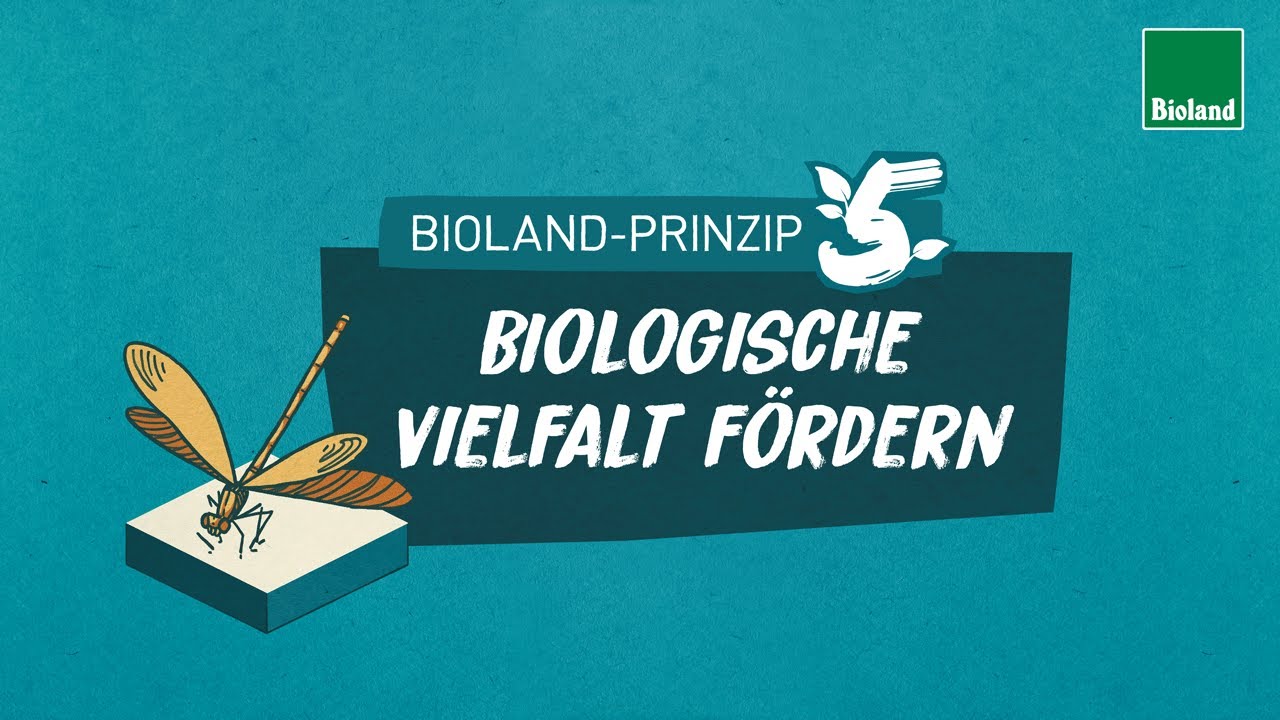 Bioland-Prinzip 5: Biologische Vielfalt in der Landwirtschaft fördern - Biodiversität, Artenvielfalt