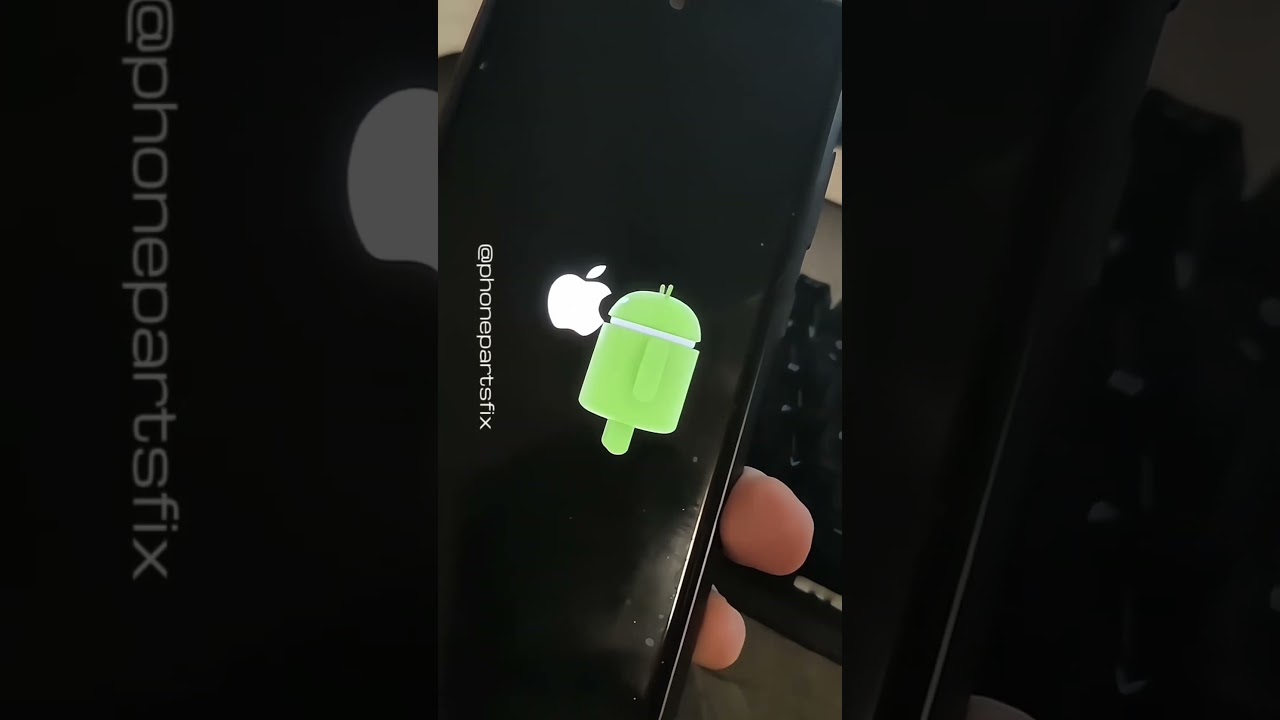 How about this boot animation for a newly purchased Samsung phone? 😂 #shorts #short #funny #reels