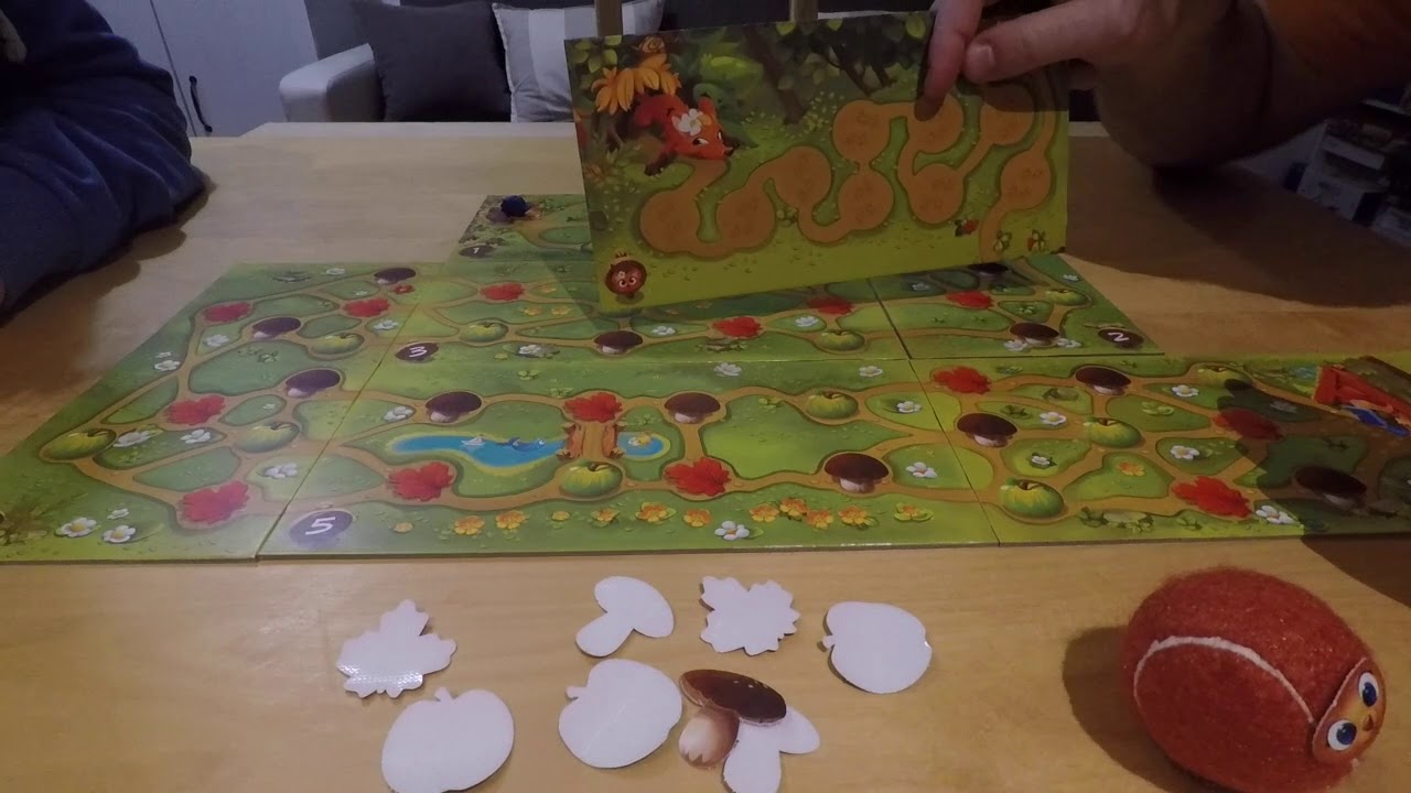 Tutorial Hedgehog Roll #7 - Gioco competitivo, collaborativo o solitario - #IoGiocoACasa - #Giocad&igrave;