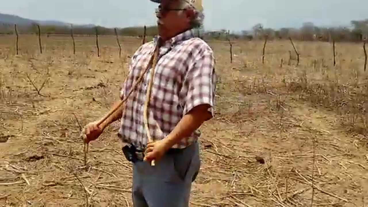 RADIESTESIA O RABDOMANCIA. (ENERGIA PARA ENCONTRAR AGUA)