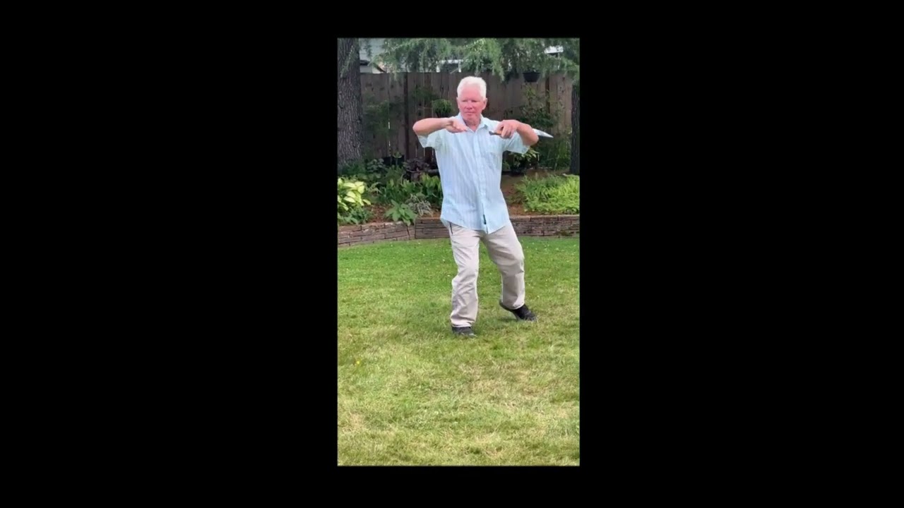 Yang Taiji Dao Anniversary Clip