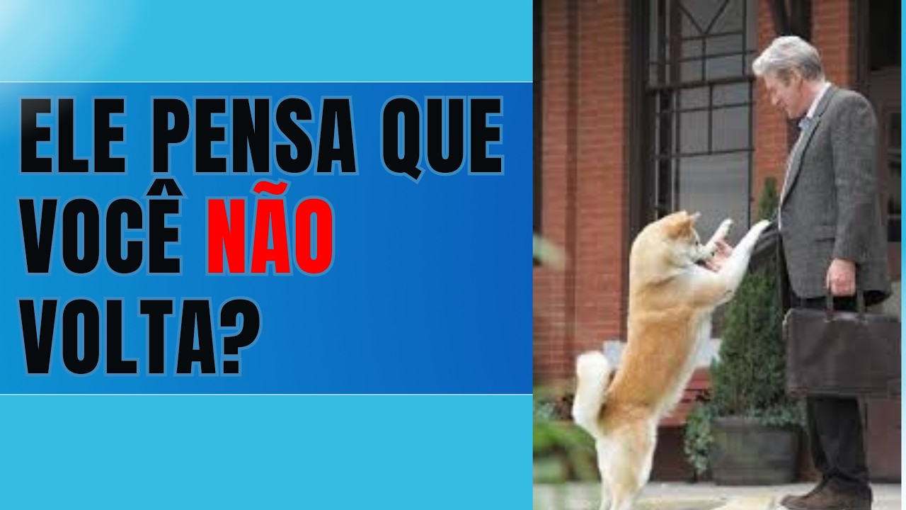 Por Que Alguns Cães Entram em Pânico Quando Ficam Sozinhos