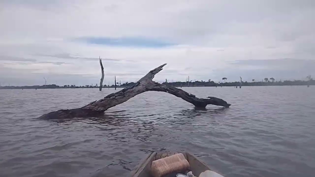 PESCARIA BRUTA, FOI SÓ OS BOM DO JAMARY.