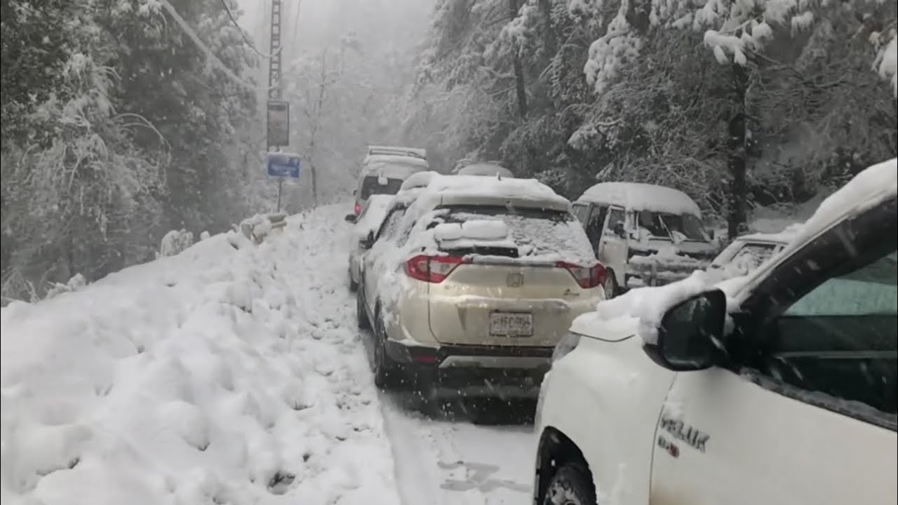 Murree Live Snowfall | Murree Live Today  | Murree Snowfall 2024 | Murree weather today  ☃️ 
