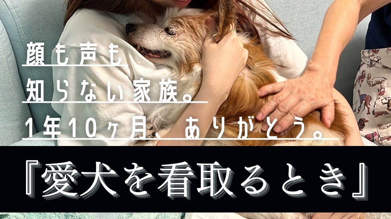 『愛犬を看取るとき』〜18歳元保護犬ハナばあ、お空へ〜 痛み苦しむ愛犬に飼い主がとった行動とは… 【閲覧注意】