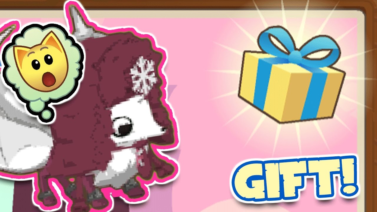 BEPPER'S ANIMAL JAM BIRTHDAY GIFT