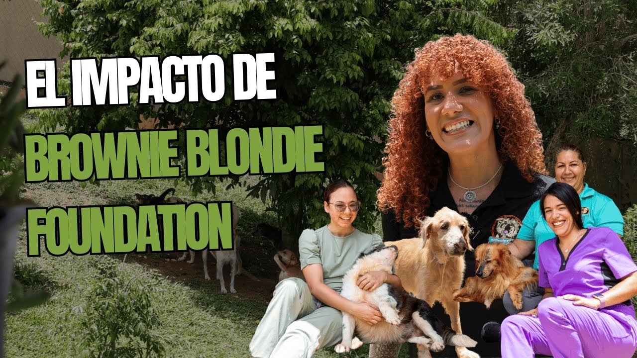 Brownie Blondie Foundation: La Fundación que Rescata y Rehabilita Animales en Puerto Rico