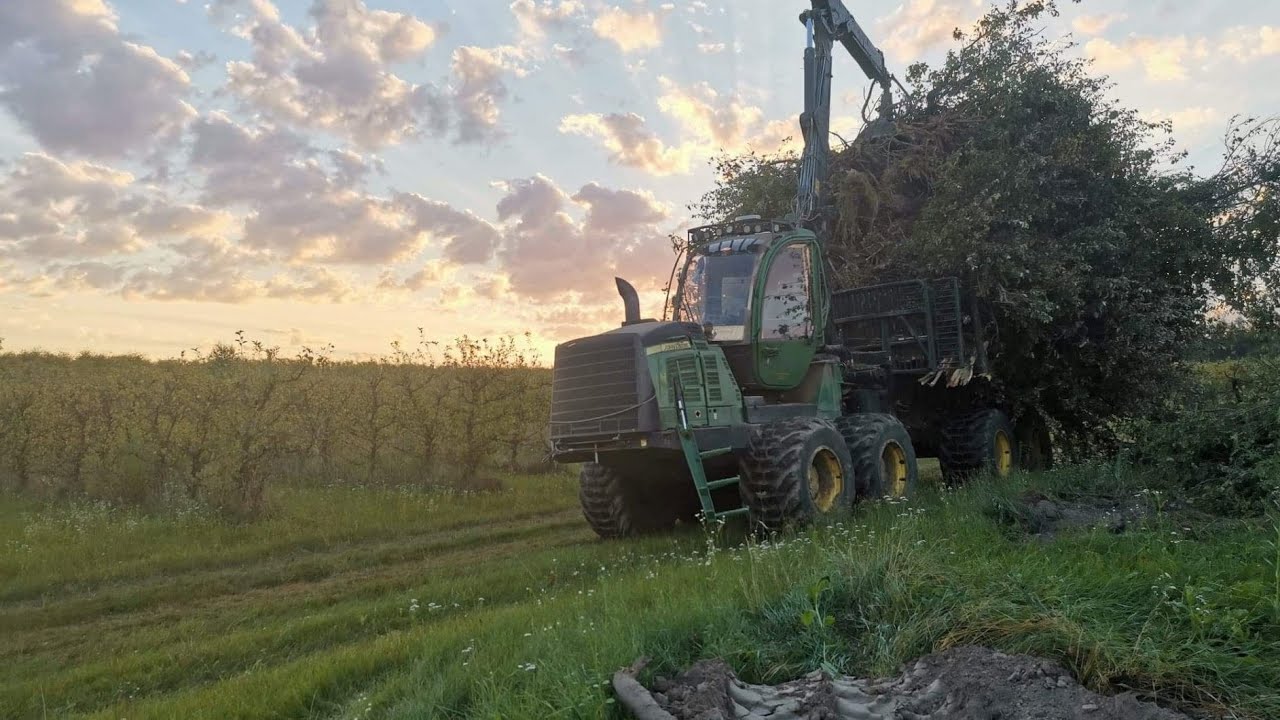Karczowanie sadów - USŁUGI // ATLAS W160 ,JOHN DEERE 1210E // Forestry Work