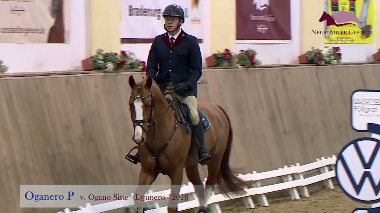 Oganero P v. Ogano Sitte - Lyjanero - Quicksilber