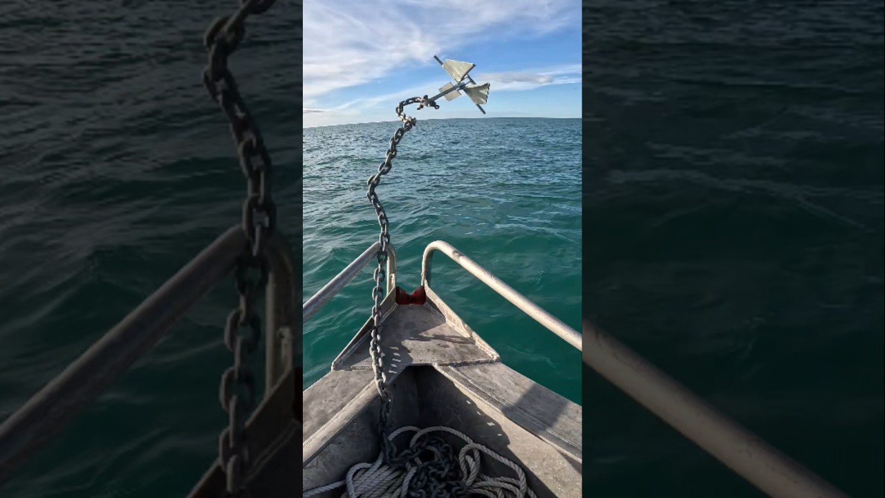 Anchor Out! 🚤 How to Drop Anchor the Right Way #fishing #anchor #boat #boating