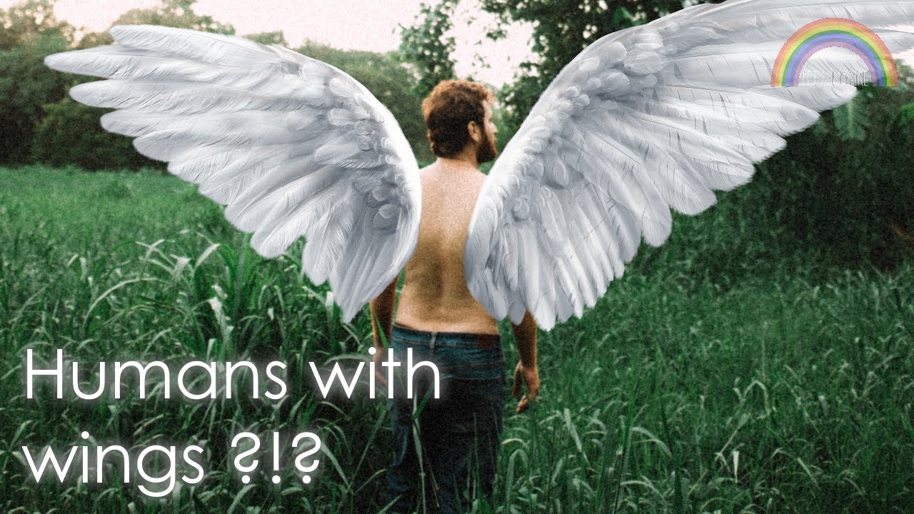 Let's imagine: Humans have wings and can fly ?!?