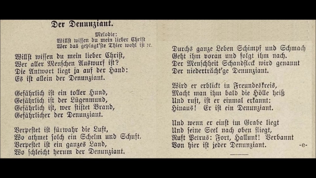 Der Denunziant - Christoph Holzhöfer