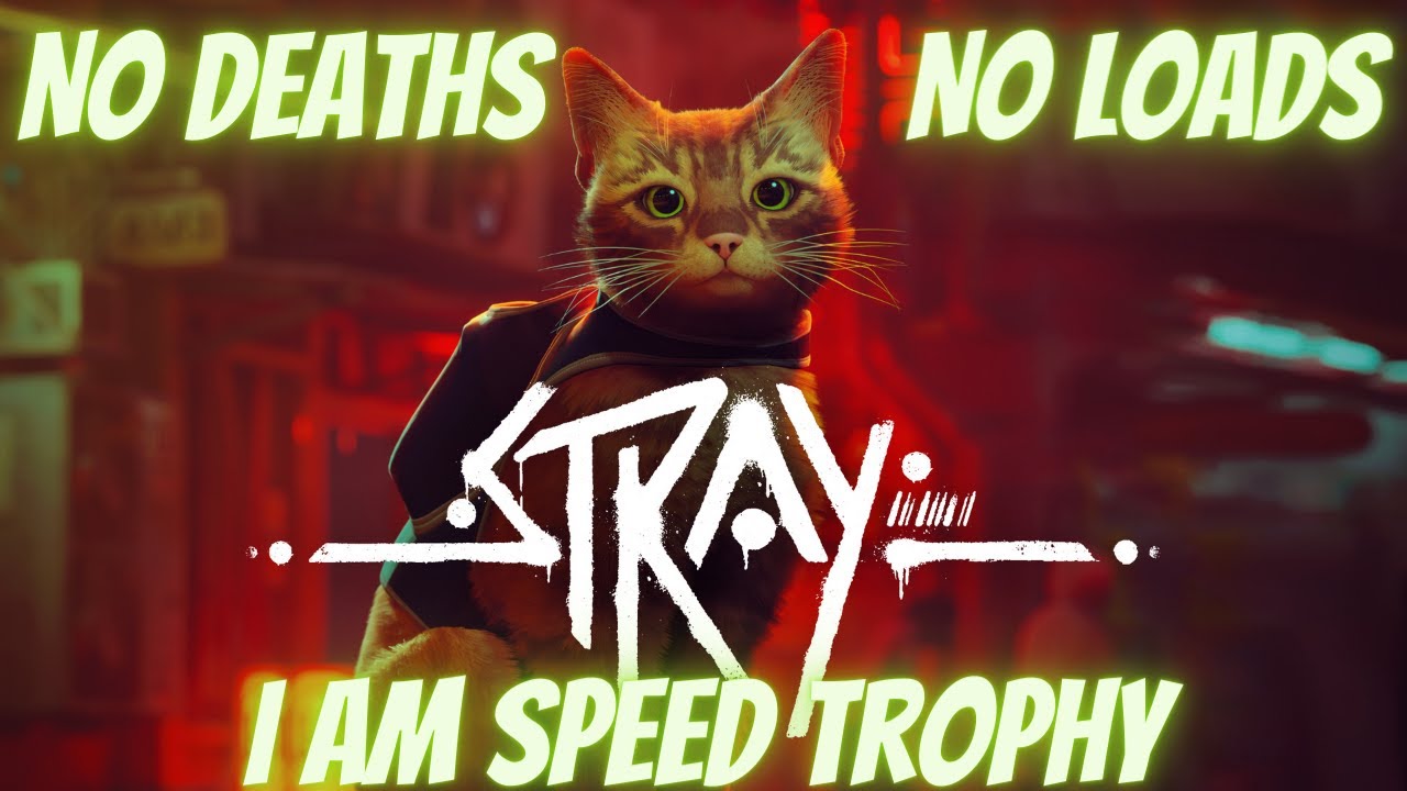 Stray | No death Full Game Playthrough | I Am Speed Achievement