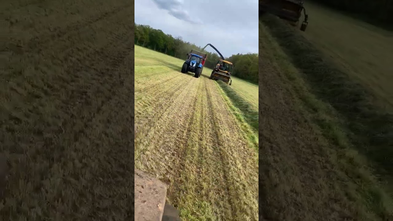 hakselen 1e snede 2024