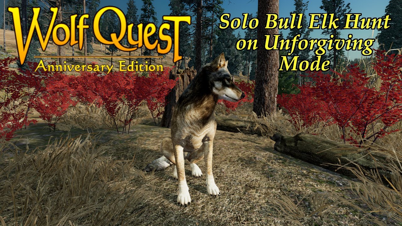 Wolf Quest AE - Solo Bull Elk Hunt on Unforgiving Mode