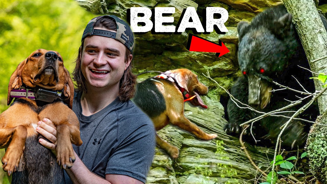 The Best Hunt of the Summer (crazy bear)