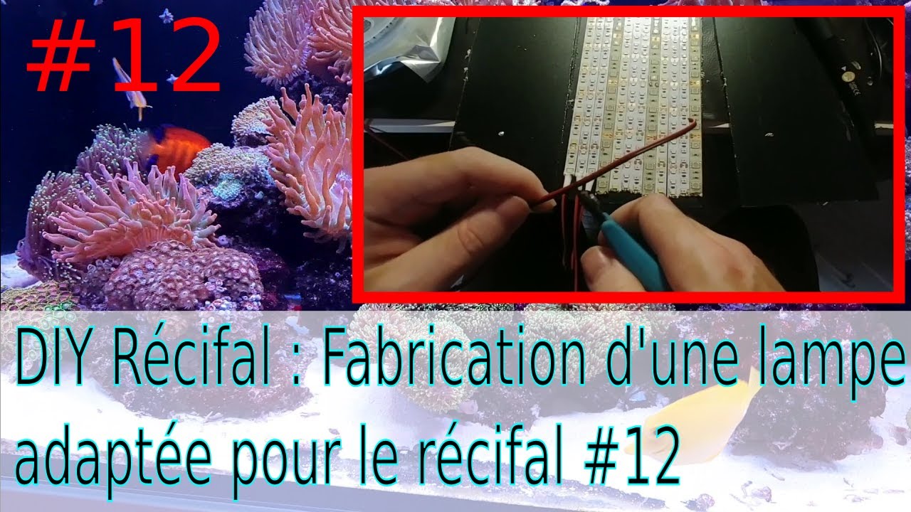 DIY recifal : Fabrication d'une lampe adaptée pour le récifal #12