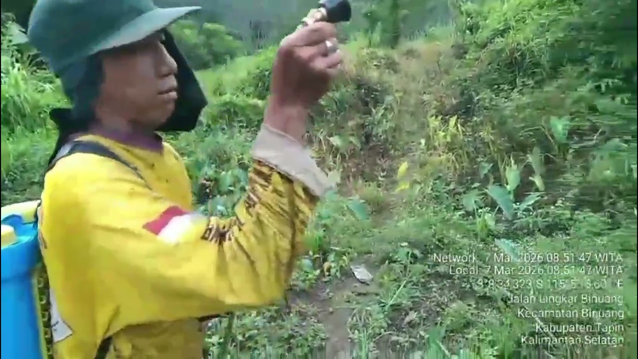 penggunaan eco enzym untuk tanaman hortikultura dan padi