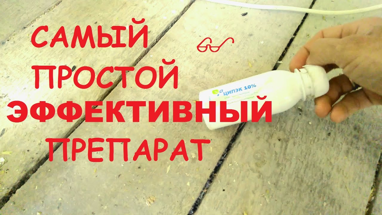 Итоги профилактики пероеда у декоративных птиц