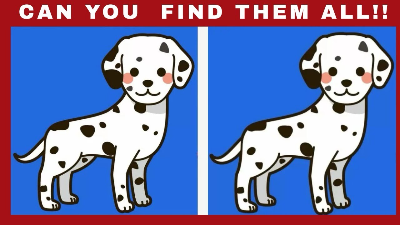 Spot the difference | Expert challenge Edition 