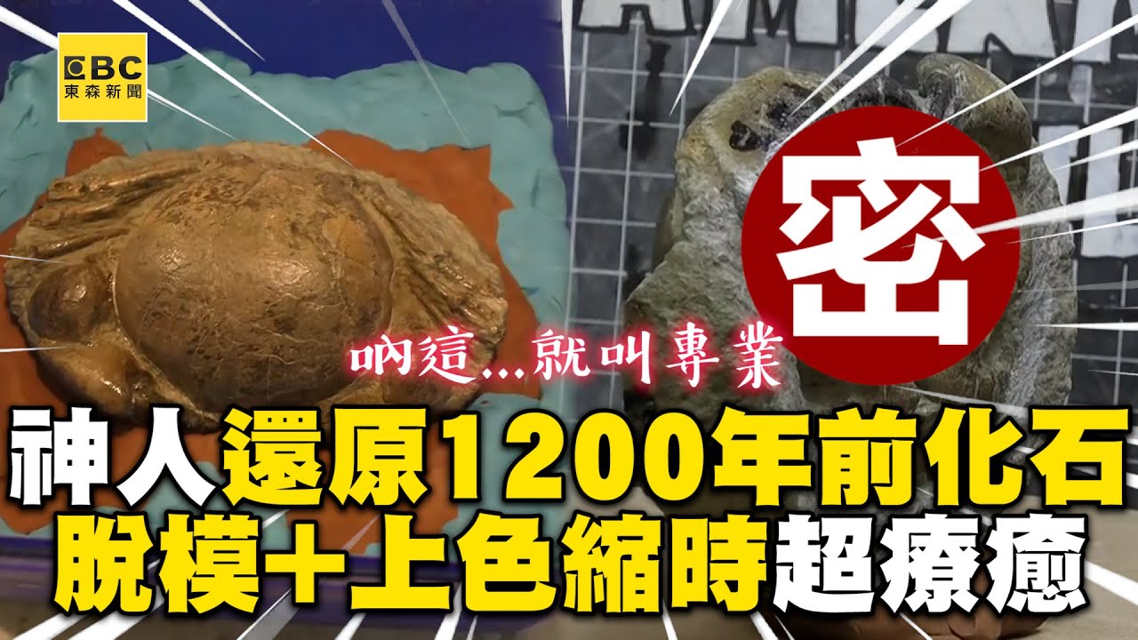 神人還原1200年前螃蟹化石！脫模+上色縮時紀錄超療癒 @cosmosviral