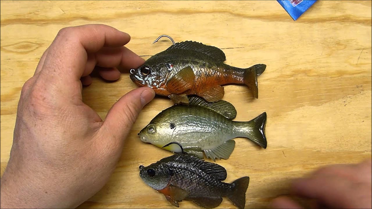 Huddleston Bluegill (in and out of the water)