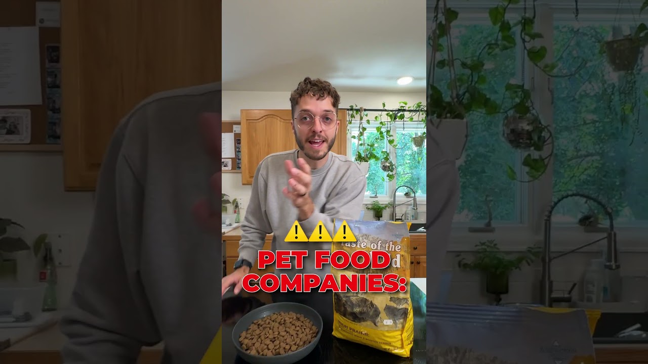 Link in our bio for the full Dog Food Evaluation Guide ❤️🐾 