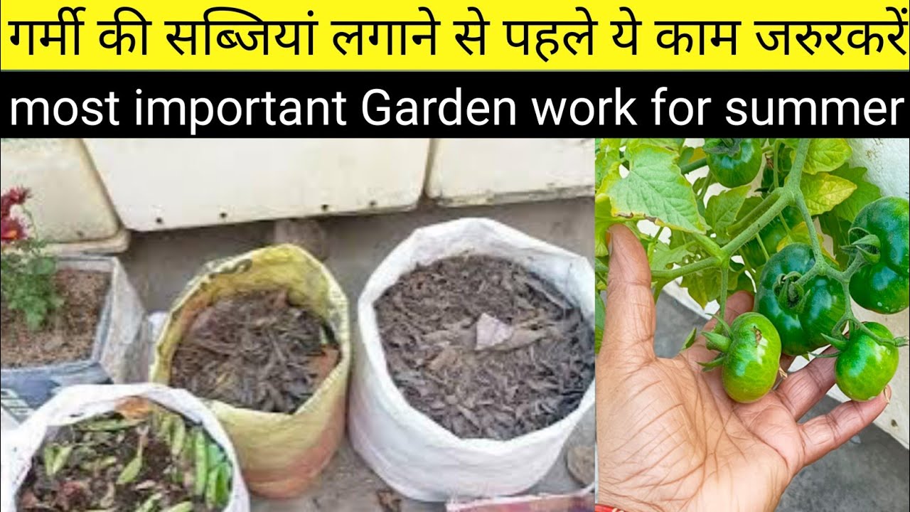गर्मियों की सब्जियां लगाने की तैयारी शुरू/बिनाखाद बिनागमले बिना मिट्टी कैसे उगाएं सब्जियां/gardening
