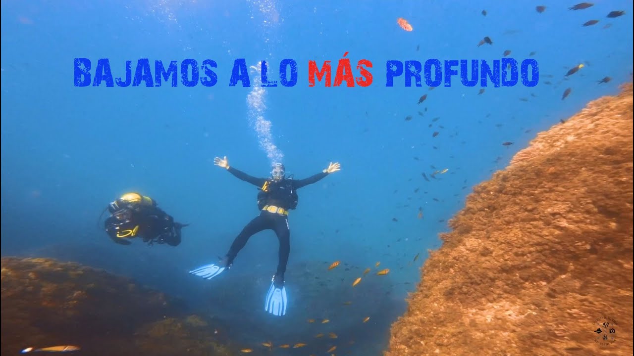 Bajamos a lo más profundo - submarinismo en La Herradura (Granada)