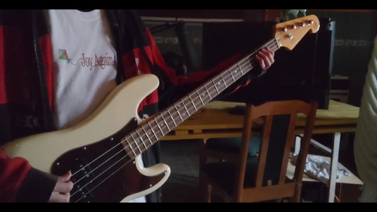 Joy Again - Apples, Peaches [bass cover]