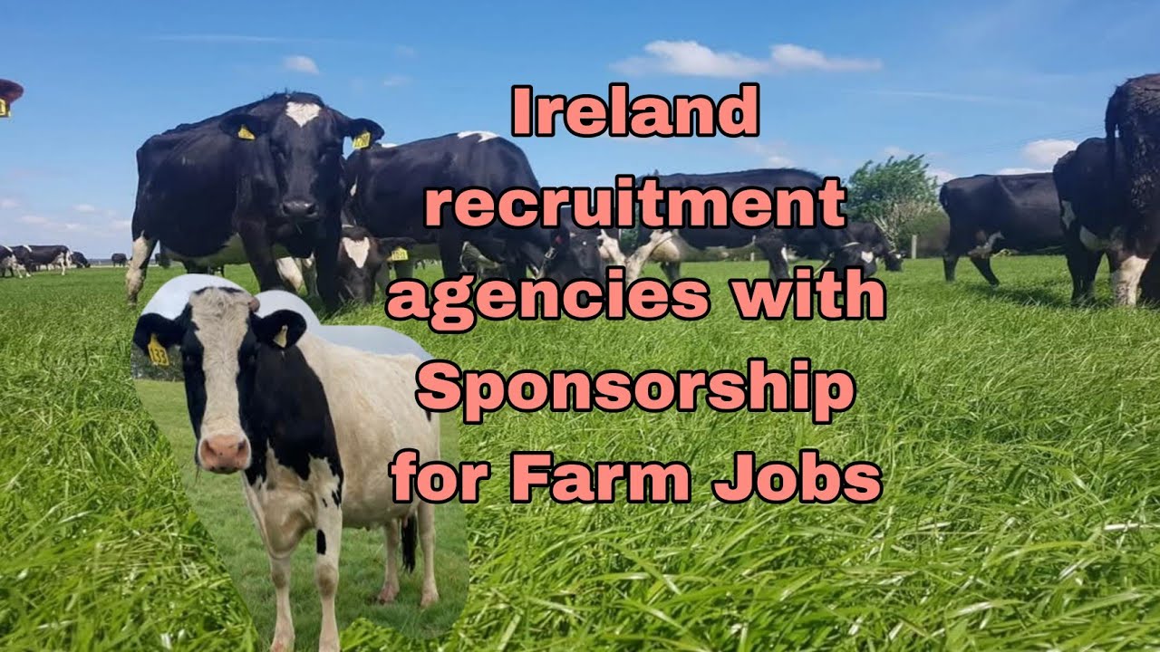 Ireland | Lists of Recruitment Agencies With Sponsorship For Farm Jobs