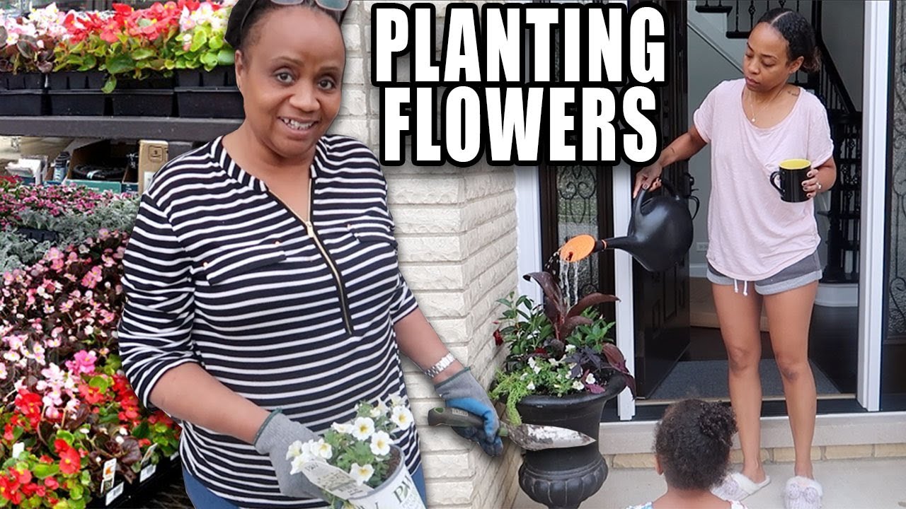Improving Our Landscaping DIY Style! | VLOG