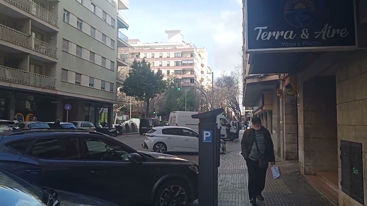 the_Palma_situation_VID 20260112 124656