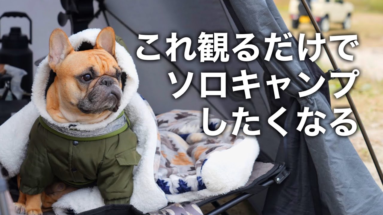 【ソロキャンプしたい人必見】冬の犬連れソロキャンプ