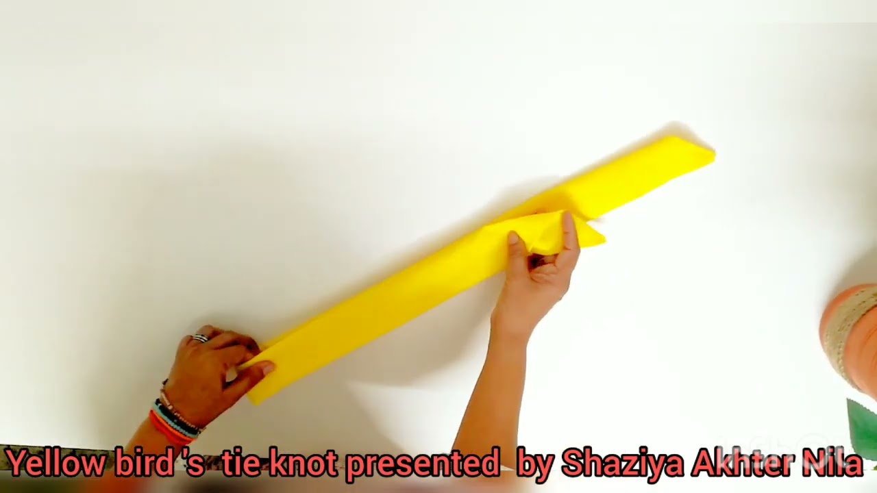 Yellow Bird's  Tie knot