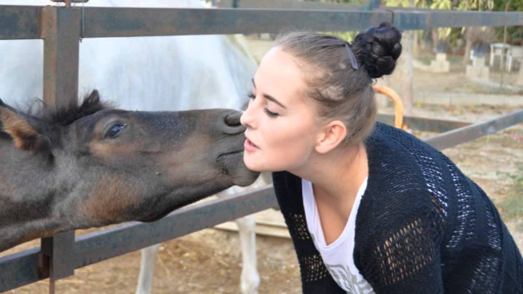 Stredná odborná škola veterinárna Košice - Barca