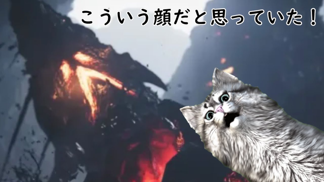 【モンハン】アプデした時だけやる奴【ワイルズ】