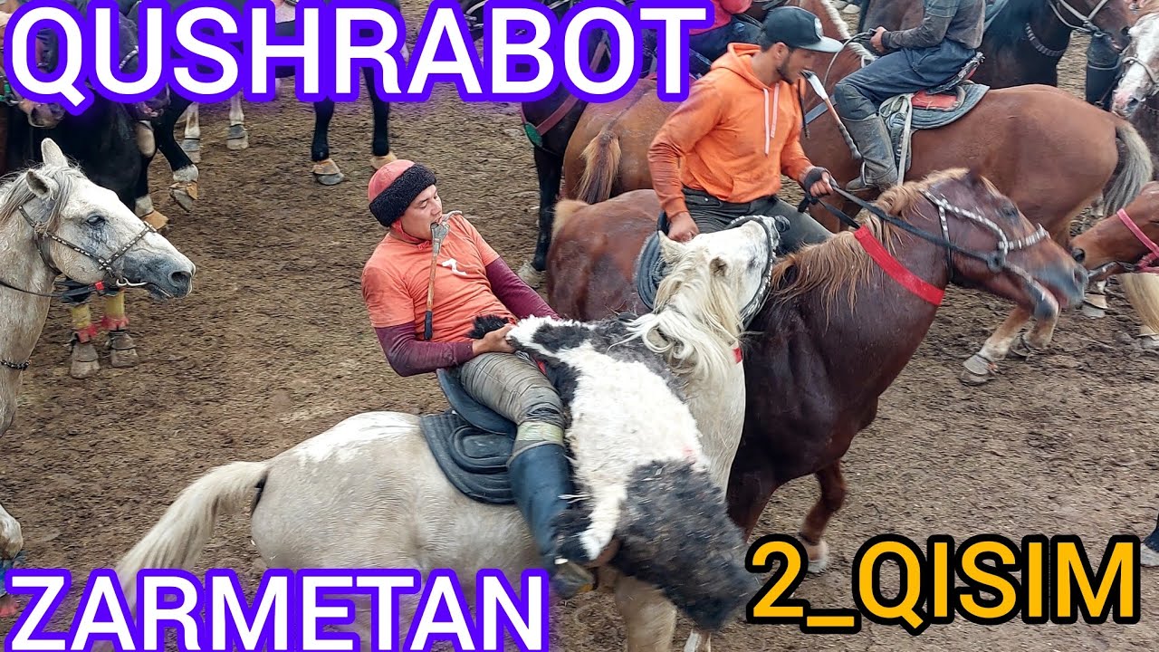 QUSHRABOT ZARMETAN 28 10 23 y Rahmonov Toshmuhammad farzandlari Asadbek va Imronbeklarni KÒPKARISI 🤲