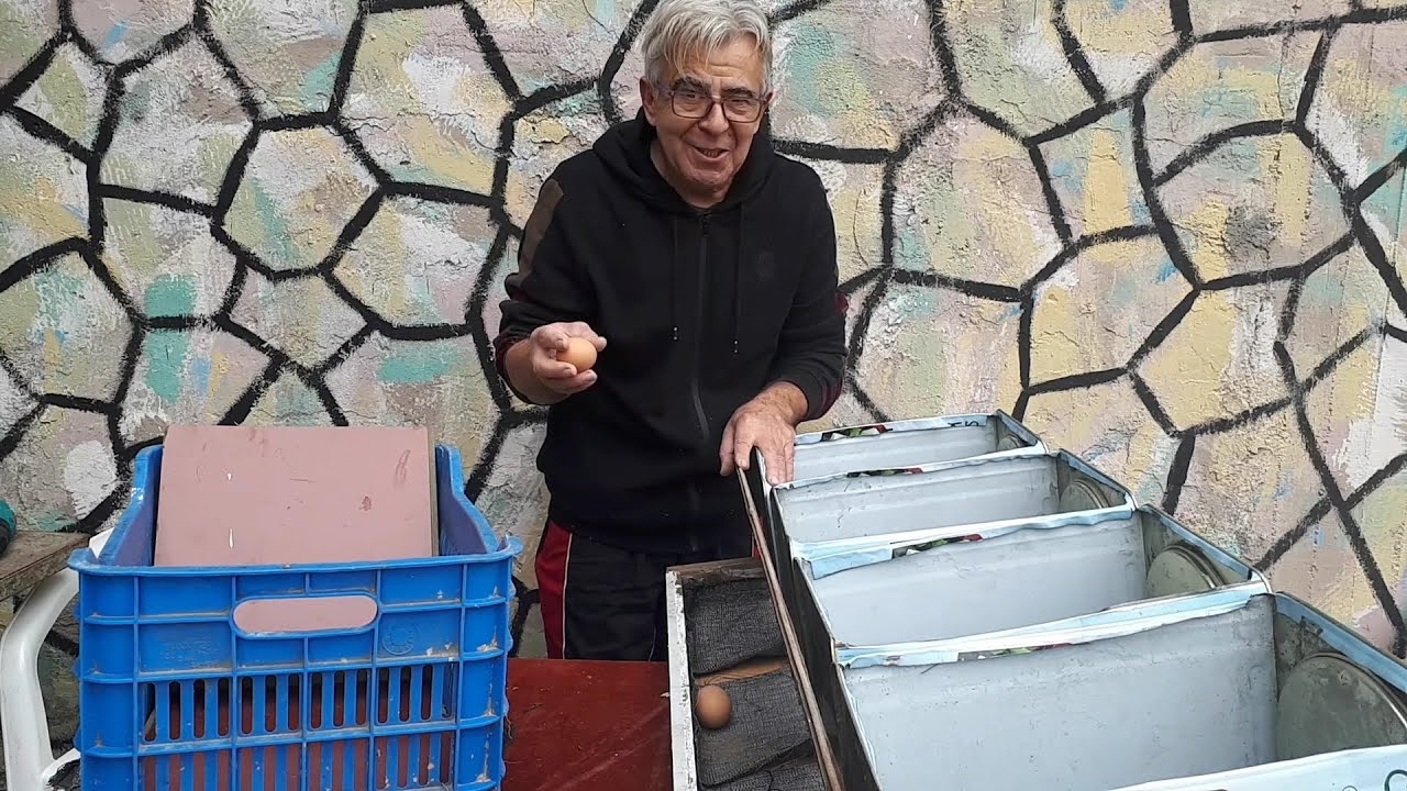 Φωλιές για κότες να μην τρώνε τα αυγά Nests for hens