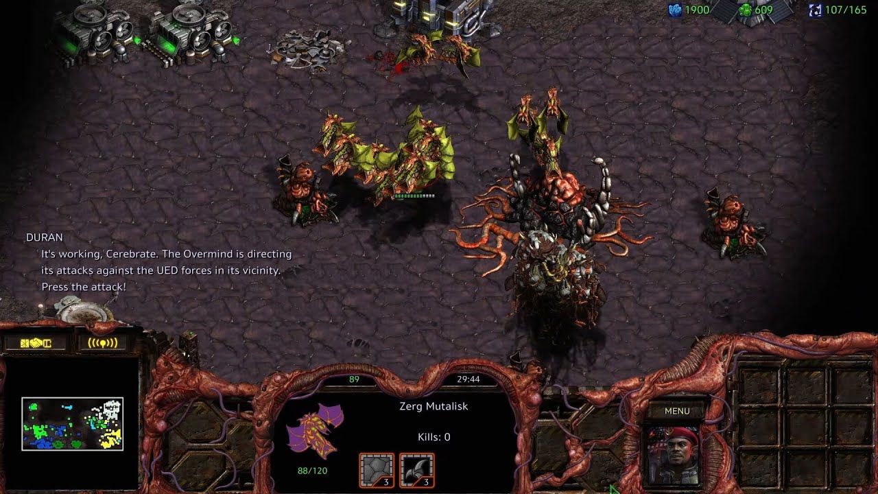 The UED loses its control over the Overmind