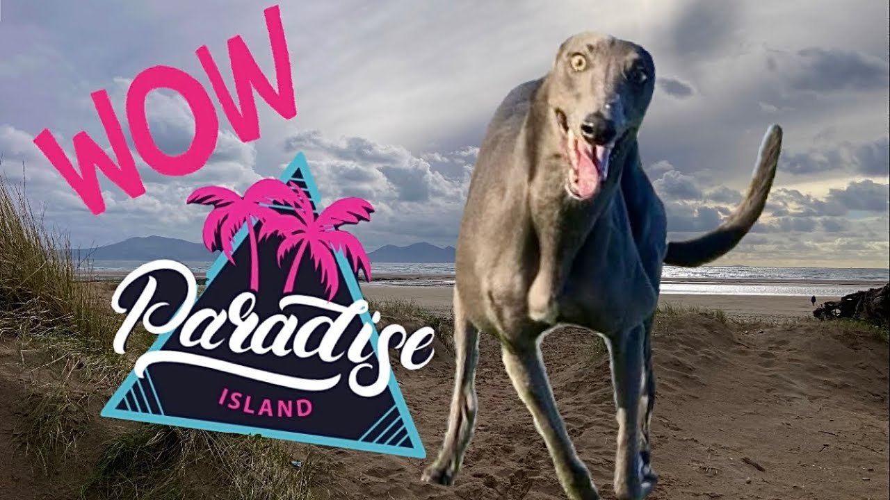 GREYHOUND проносится по пляжу Ньюборо и открывает удивительный остров Лланддуин
