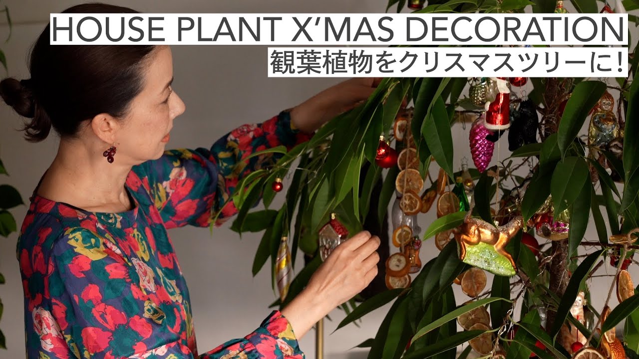 #40 HOUSE PLANT X’MAS DECORATION 観葉植物をクリスマスツリーに!