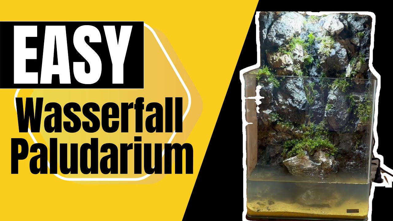 Ich baue ein EASY Wasserfall-Paludarium! | MoosWerk |