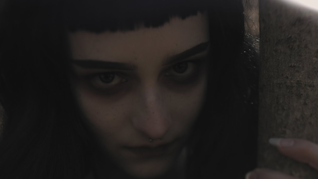 Saving Vice - The Black Briar (Official Music Video)