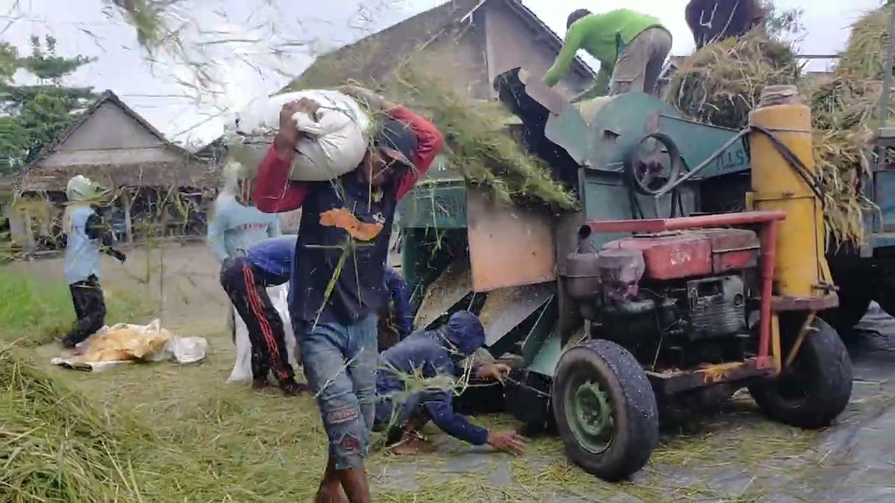 Mesin Blower Padi Keliling [] Alat Pertanian