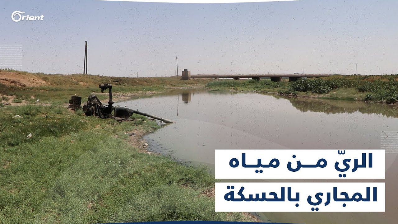مخاطر صحّية.. مزارعو الحسكة يروون مزروعاتهم من مياه المجاري وسخط من المدنيين