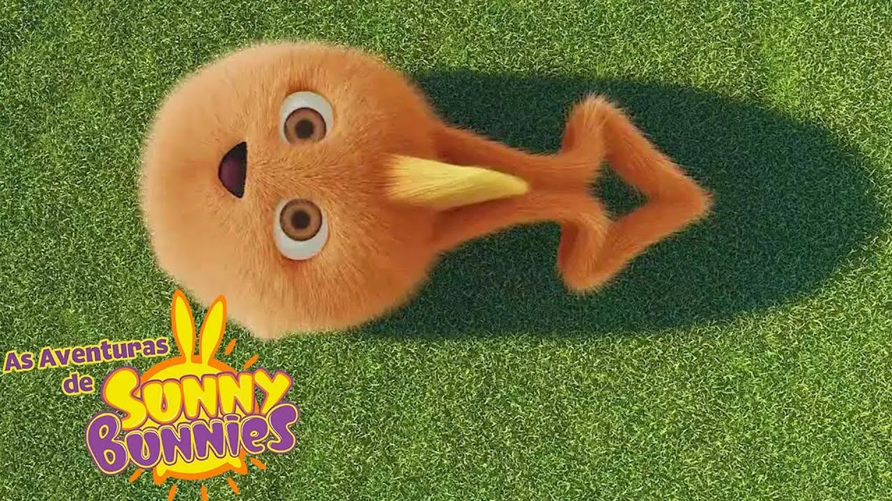 Tomando instruções | As Aventuras de Sunny Bunnies | Desenhos Animados Infantis